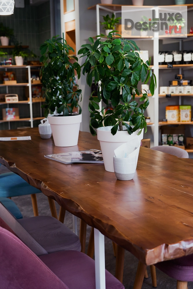 Дизайн интерьера кафе "Реализация интерьера кофейни "КЕДРОКОФЕ"" (фото 3)